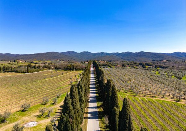 casa indipendente in vendita a Castagneto Carducci in zona Bolgheri