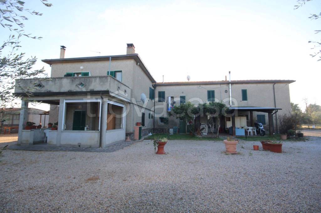 casa indipendente in vendita a Castagneto Carducci in zona Donoratico