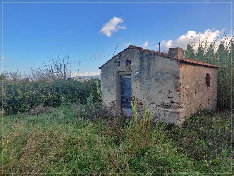 terreno agricolo in vendita a Castagneto Carducci in zona Donoratico