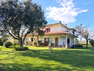 casa indipendente in vendita a Castagneto Carducci in zona Bolgheri
