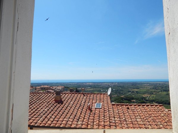 immagine annuncio 0 di 15