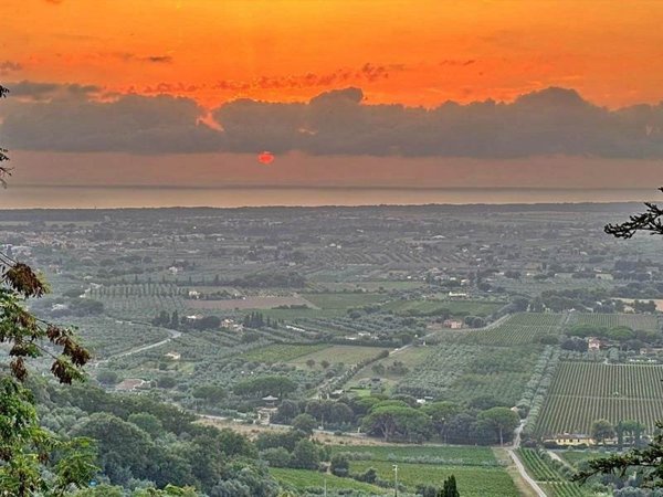 appartamento in vendita a Castagneto Carducci