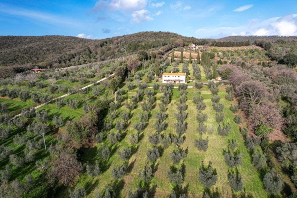 casa indipendente in vendita a Castagneto Carducci