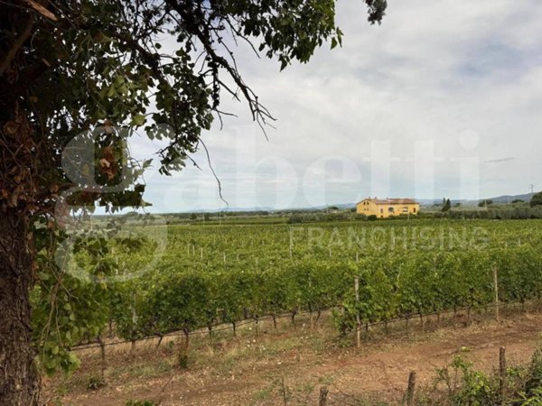 casa indipendente in vendita a Castagneto Carducci
