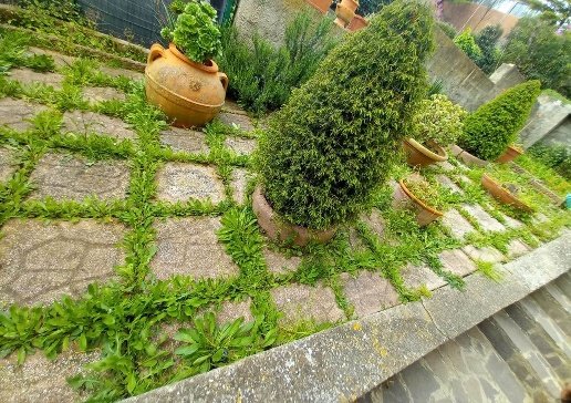 appartamento in vendita a Castagneto Carducci