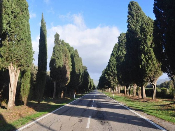 appartamento in vendita a Castagneto Carducci in zona Bolgheri