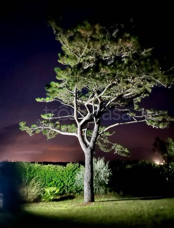 casa indipendente a Castagneto Carducci in zona Marina di Castagneto Carducci