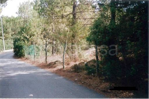 terreno agricolo a Castagneto Carducci in zona Marina di Castagneto Carducci