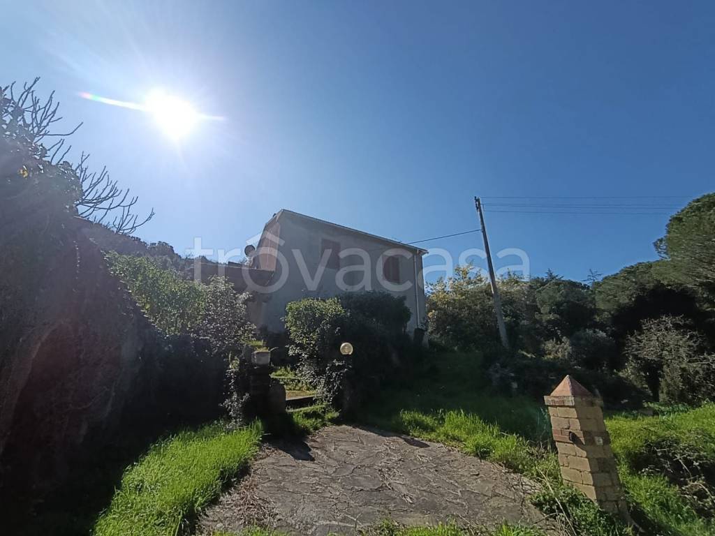 casa indipendente in vendita a Castagneto Carducci