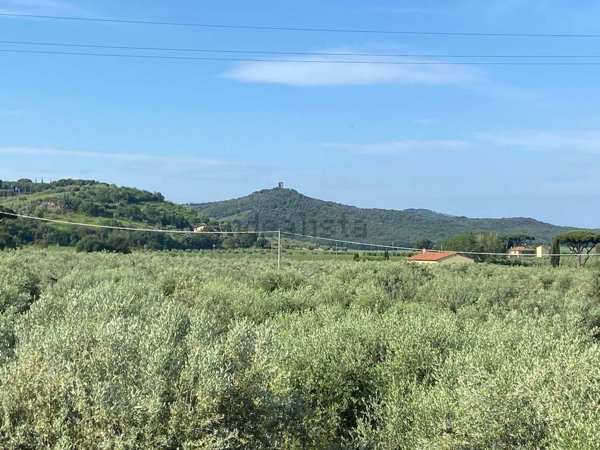 appartamento in vendita a Castagneto Carducci in zona Bolgheri