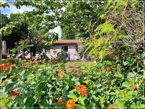 casa indipendente in vendita a Castagneto Carducci in zona Donoratico