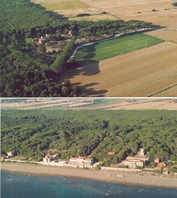 terreno agricolo in vendita a Castagneto Carducci in zona Donoratico