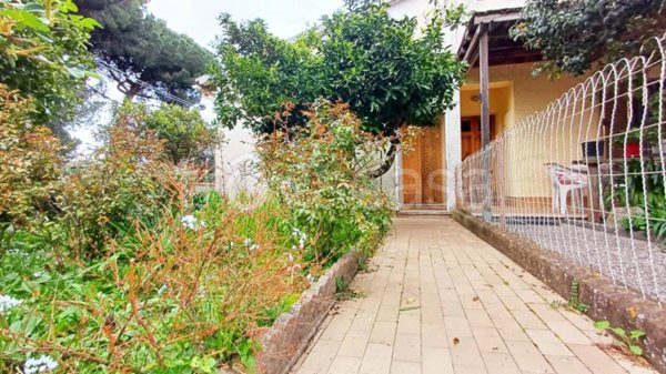 casa indipendente in vendita a Castagneto Carducci in zona Donoratico