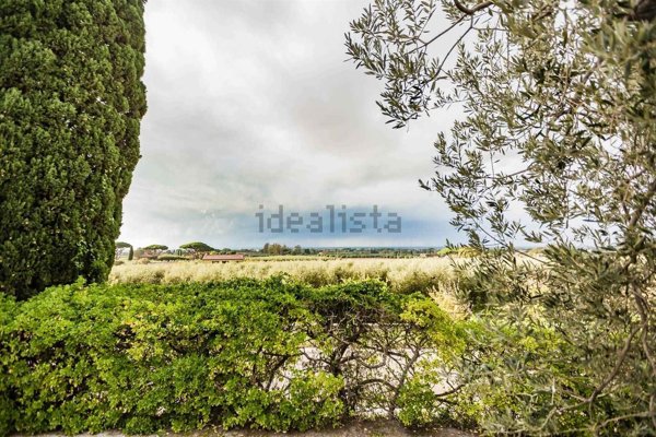 casale in vendita a Castagneto Carducci