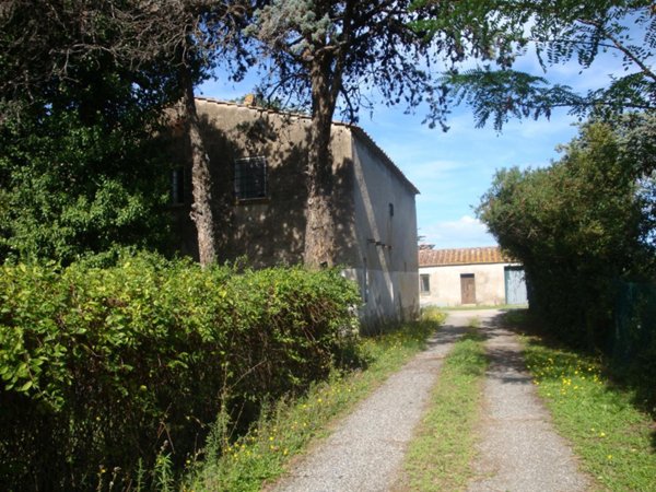 casale in vendita a Castagneto Carducci