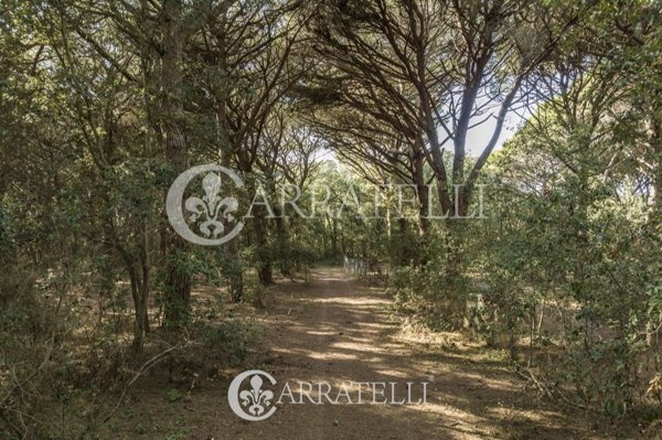 locale di sgombero in vendita a Castagneto Carducci