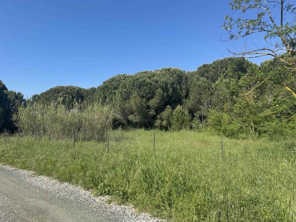 terreno agricolo in vendita a Castagneto Carducci in zona Donoratico