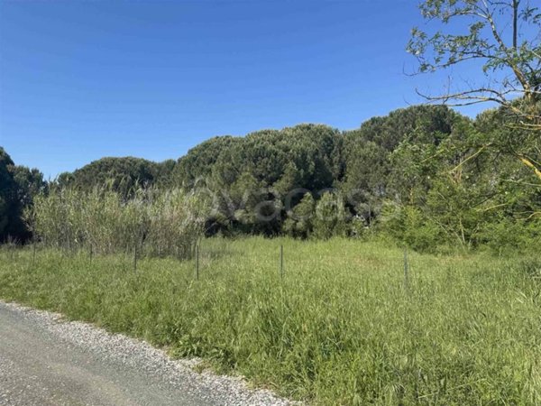 terreno agricolo in vendita a Castagneto Carducci in zona Donoratico