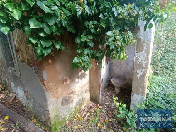 appartamento a Castagneto Carducci in zona Marina di Castagneto Carducci