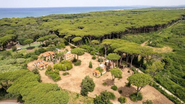 negozio in vendita a Castagneto Carducci in zona Bolgheri