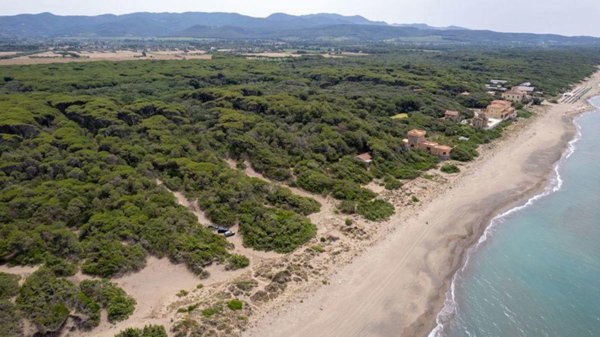 negozio in vendita a Castagneto Carducci in zona Bolgheri