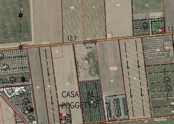 terreno agricolo in vendita a Castagneto Carducci