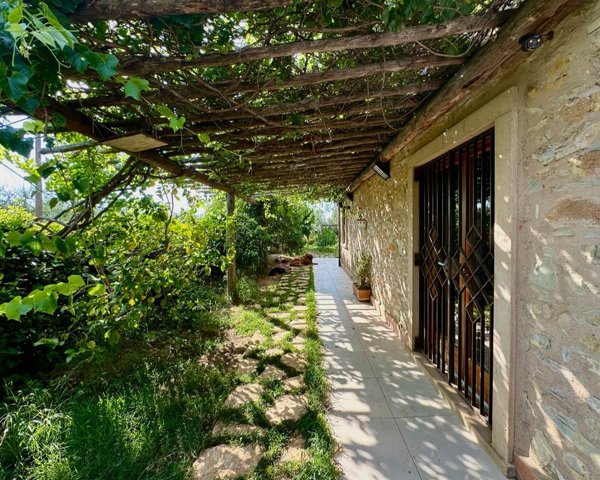casa indipendente in vendita a Castagneto Carducci in zona Bolgheri