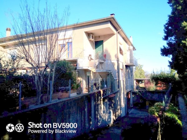 casa indipendente in vendita a Castagneto Carducci in zona Bolgheri