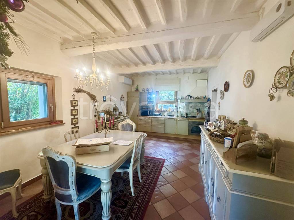casa indipendente in vendita a Castagneto Carducci in zona Bolgheri