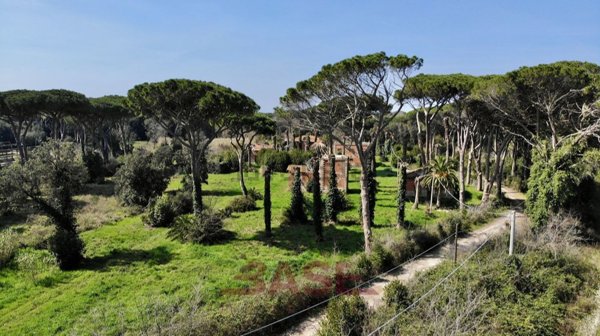 casale in vendita a Castagneto Carducci