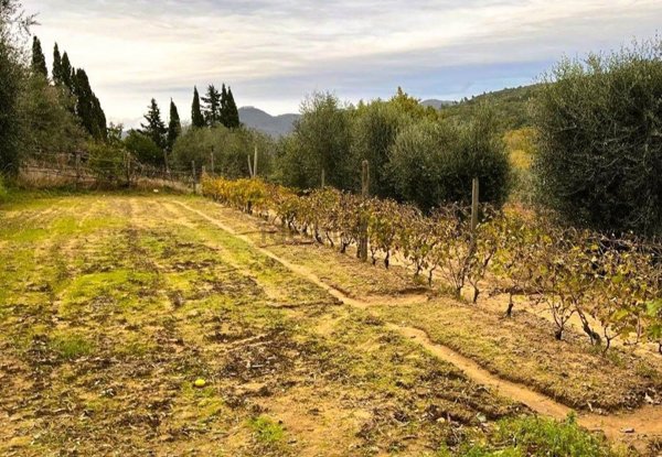 appartamento in vendita a Castagneto Carducci