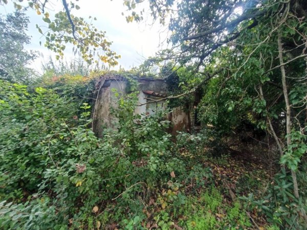 casa indipendente a Castagneto Carducci in zona Marina di Castagneto Carducci