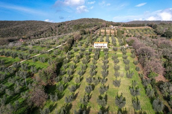 casa indipendente in vendita a Castagneto Carducci