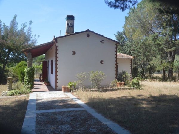 casa indipendente in vendita a Castagneto Carducci in zona Donoratico