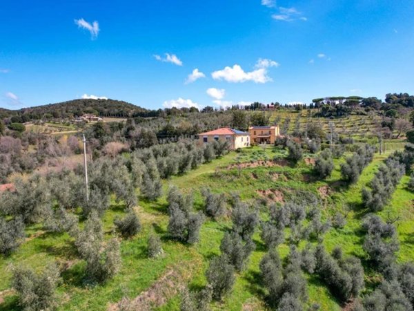 casa indipendente in vendita a Castagneto Carducci in zona Bolgheri