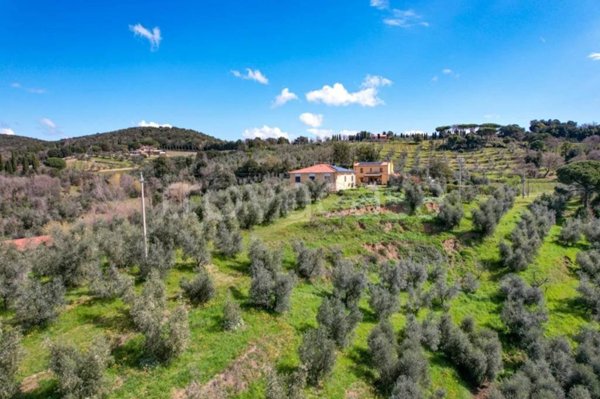 casa indipendente in vendita a Castagneto Carducci in zona Bolgheri