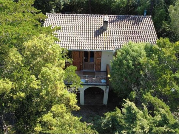 casa indipendente in vendita a Castagneto Carducci in zona Bolgheri