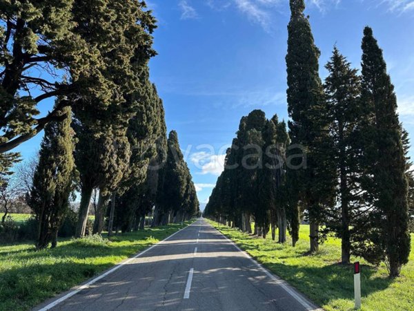 casa indipendente in vendita a Castagneto Carducci in zona Bolgheri