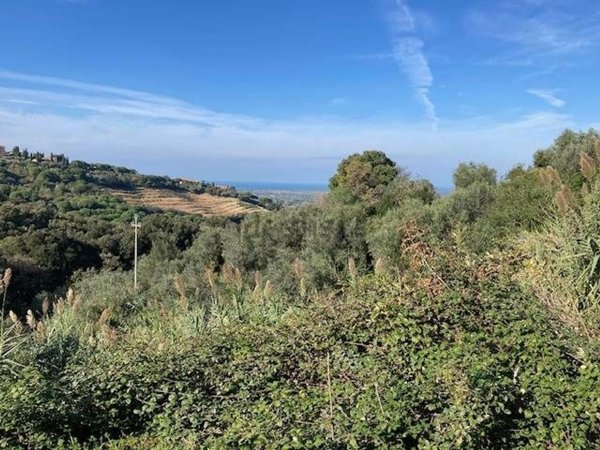 casale in vendita a Castagneto Carducci