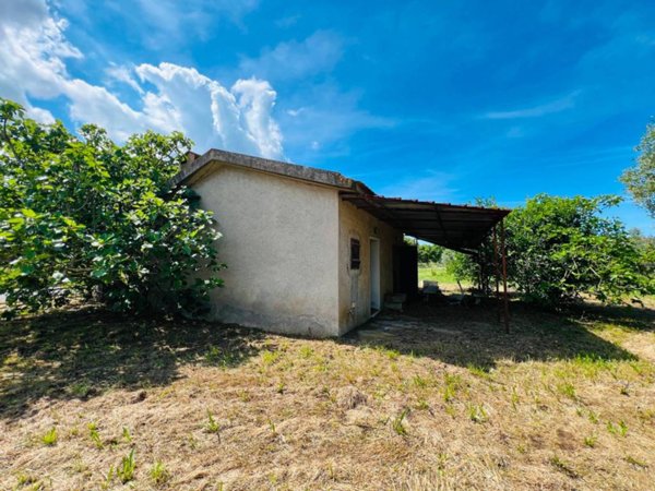 casa semindipendente in vendita a Castagneto Carducci in zona Donoratico