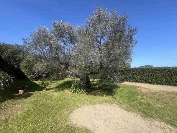 casa indipendente a Castagneto Carducci in zona Marina di Castagneto Carducci