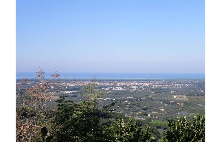 appartamento in vendita a Castagneto Carducci