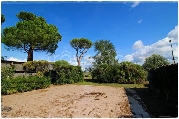 ufficio in vendita a Castagneto Carducci in zona Marina di Castagneto Carducci