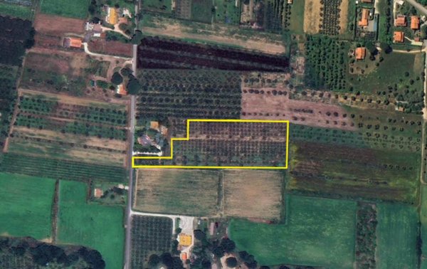 terreno agricolo in vendita a Castagneto Carducci