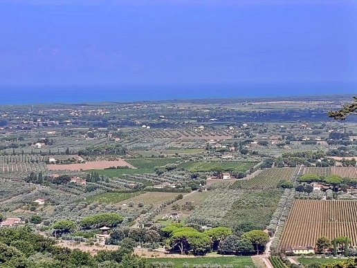 appartamento in vendita a Castagneto Carducci