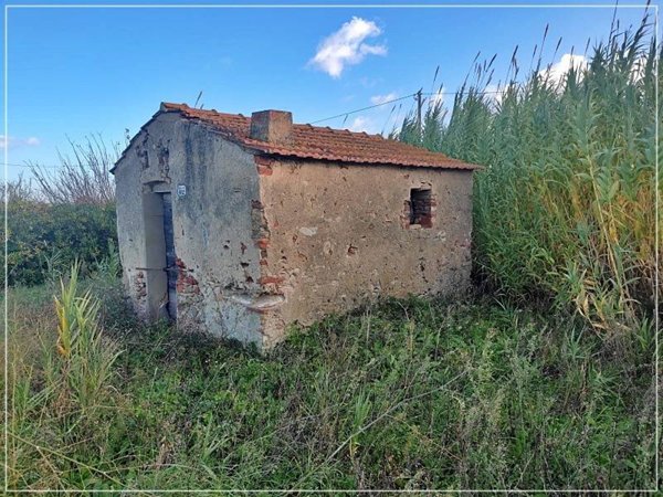 terreno agricolo in vendita a Castagneto Carducci in zona Donoratico