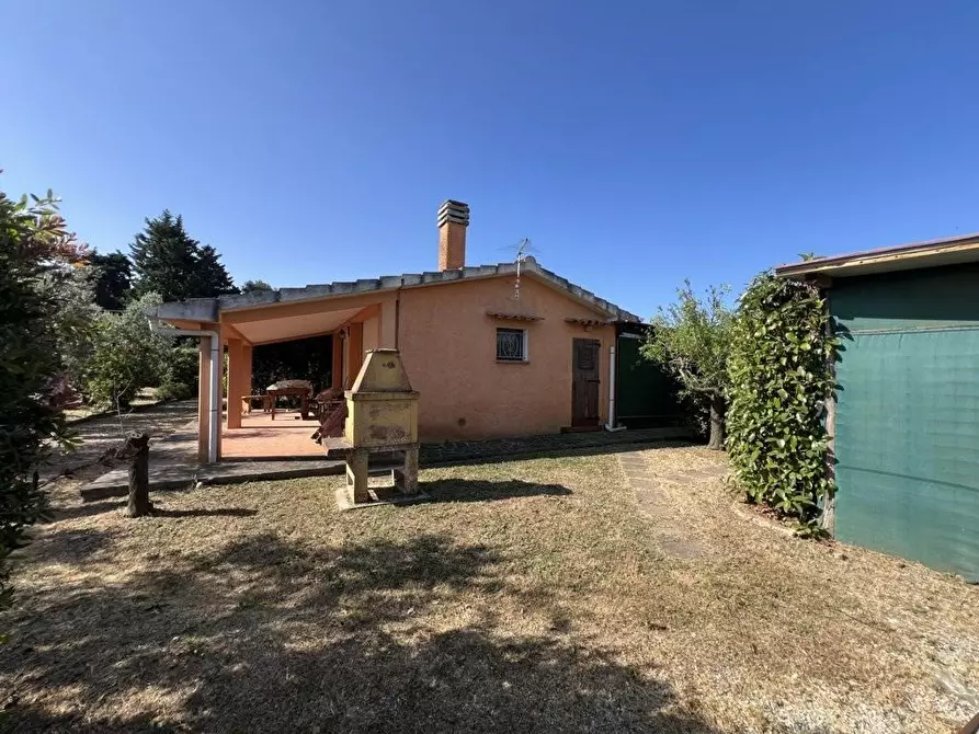 terreno agricolo in vendita a Castagneto Carducci