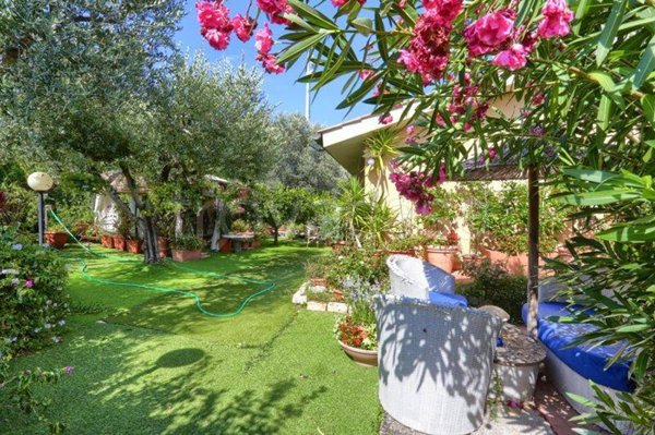 casa indipendente in vendita a Castagneto Carducci in zona Bolgheri