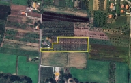 terreno agricolo in vendita a Castagneto Carducci
