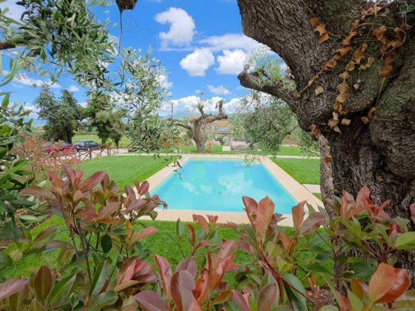 casa indipendente in vendita a Castagneto Carducci in zona Bolgheri